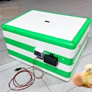 100 Capacity Incubator